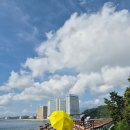 속초사잇길 제5길 | 강원도 속초 가볼만한곳 외옹치항 바다향기로 둘레길