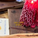 『이토록 가까운 거리라니요』· 이웃집 치과의사 하혜련 작가님, 우공책방 북토크 후기입니다