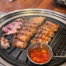 삼쿡시대 이미지