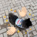 펫페스티벌 | 2025 울산 펫페스티벌 나이트 댕댕런 참가 후기 강아지 태화강국가정원 걷기대회 기념품