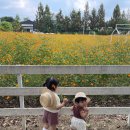 황화목장 이미지