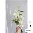 (주)엘드 | [야외웨딩스냅] 아로하스냅 촬영후기