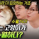 유퀴즈) 여시들은 강아지파 vs 고양이파 어느쪽?ㅋㅋ 수의사들과 함께 하는 논쟁 이미지