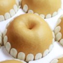 큰샘농원 이미지