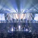 스왈라swalla 이미지
