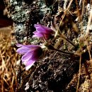 문산1리 이미지