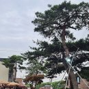 황용주유소 이미지