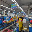 대영상회 이미지