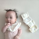비앤아이 | 베이비앤아이 턱받이 실사용 후기, 측면 똑딱이로 눕혀서 입히기 최고!