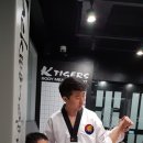 리틀K타이거즈 태권도장 이미지