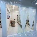 와이필라앤피티 이미지