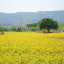 장자호수공원 이미지