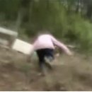 다와 이미지