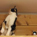 호텔가온 이미지