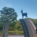 노루공원화장실 이미지