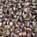 용사의집 이미지