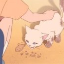 고양이의 보은 이미지