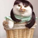 통영 야-호! 서울 야-호! ･ﾟ:*