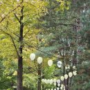 대관령 양떼목장, 월정사, 허브나라, 남이섬 이미지