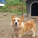 선남초등학교 이미지