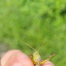 자굴산약국 이미지