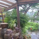 카페브런치(오후) 이미지