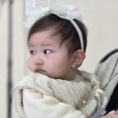레아사진관 | 의정부 사진관 가현사진관에서 아기 300일 사진 촬영 내돈내산 후기