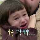 수연 이미지