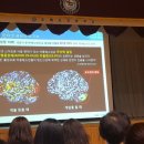 오륙도초등학교 이미지