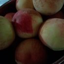 갈촌농장 이미지