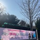 2023 3월은 애드레 졸업.. 글구 러쉬 퇴사의 달🩵