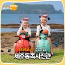 추자도남자해녀집 | 제주동쪽사진관 만족스러운 아기 해녀 스냅