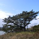 수산리-16 이미지