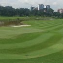 TOP GOLF클럽 이미지