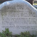 섬진강두부마을 이미지