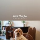 몬슈 이미지