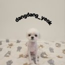 댕댕역 이미지