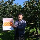 효성과일 이미지