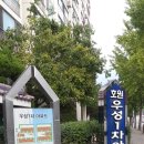 우성할인마트 이미지