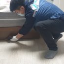 크린방역 이미지