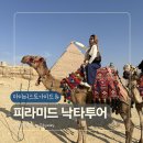 [여자혼자 이집트여행] 기자 피라미드 낙타투어 후기 | 파노라마 포인트 &amp; 마이퍼스트가이드