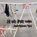 맵시나는 집