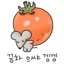 꼬마나무김밥 이미지