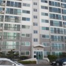 월영동100 이미지