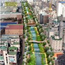 인천광역시 부평구 부평1동행정복지센터 | 굴포천 복원은 인천 부평 시민의 쉼터를 제공합니다.