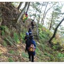 개도 사람길 이미지