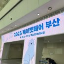 펫샤워 | 부산 벡스코 케이펫페어 후기 🐶➰