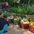 태수농장2 이미지