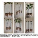 (주)제일트레이딩 이미지