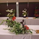 리베라호텔 이미지